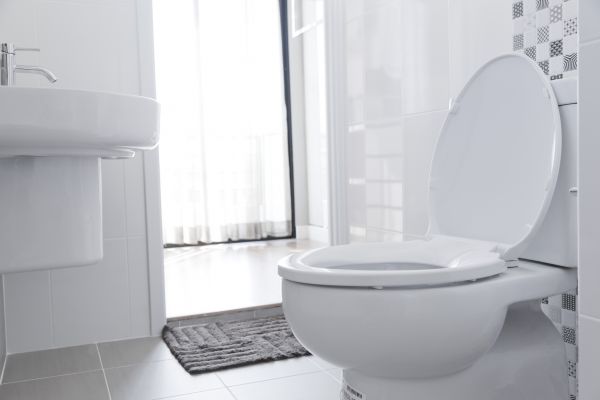 Cost of Toilet Relocation in Springfield